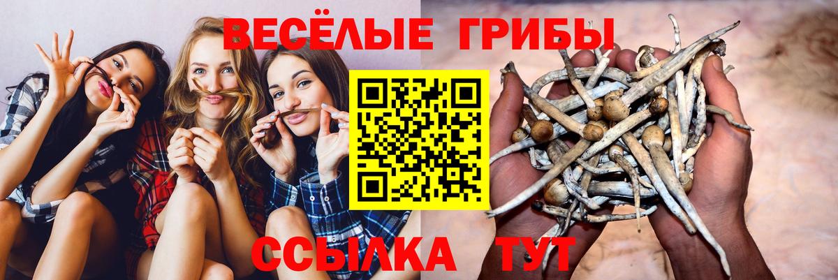 Псилоцибиновые грибы ЛСД Минусинск